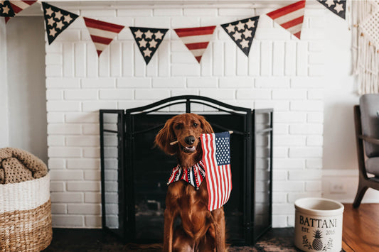 How to celebrate Independence day safely with your pets